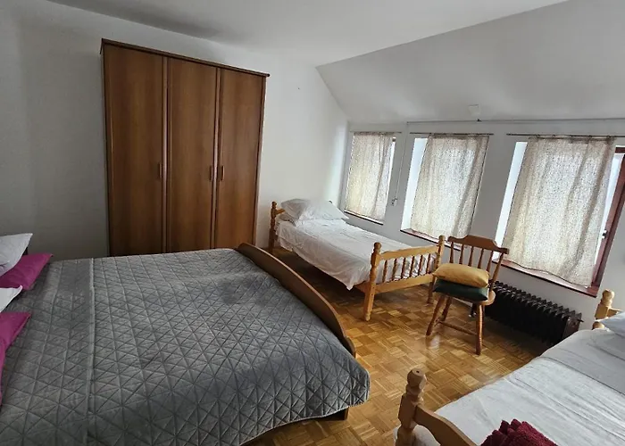 Avecchiasegheria Most na Soči